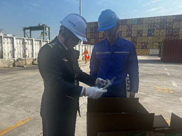 20250116春运期间 南沙海事持续强化集装箱开箱查验.jpg