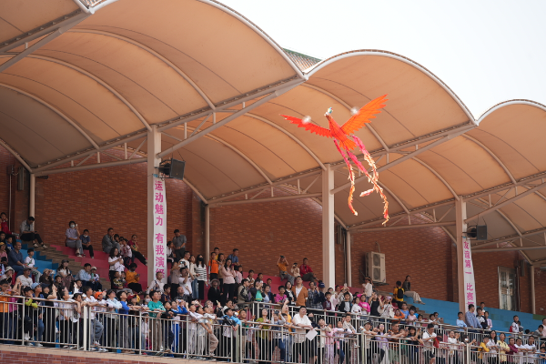 174280783222456636.jpg 8.jpg